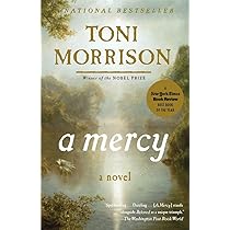 A Mercy: Morrison, Toni: 9780676978315: Books - Amazon.ca